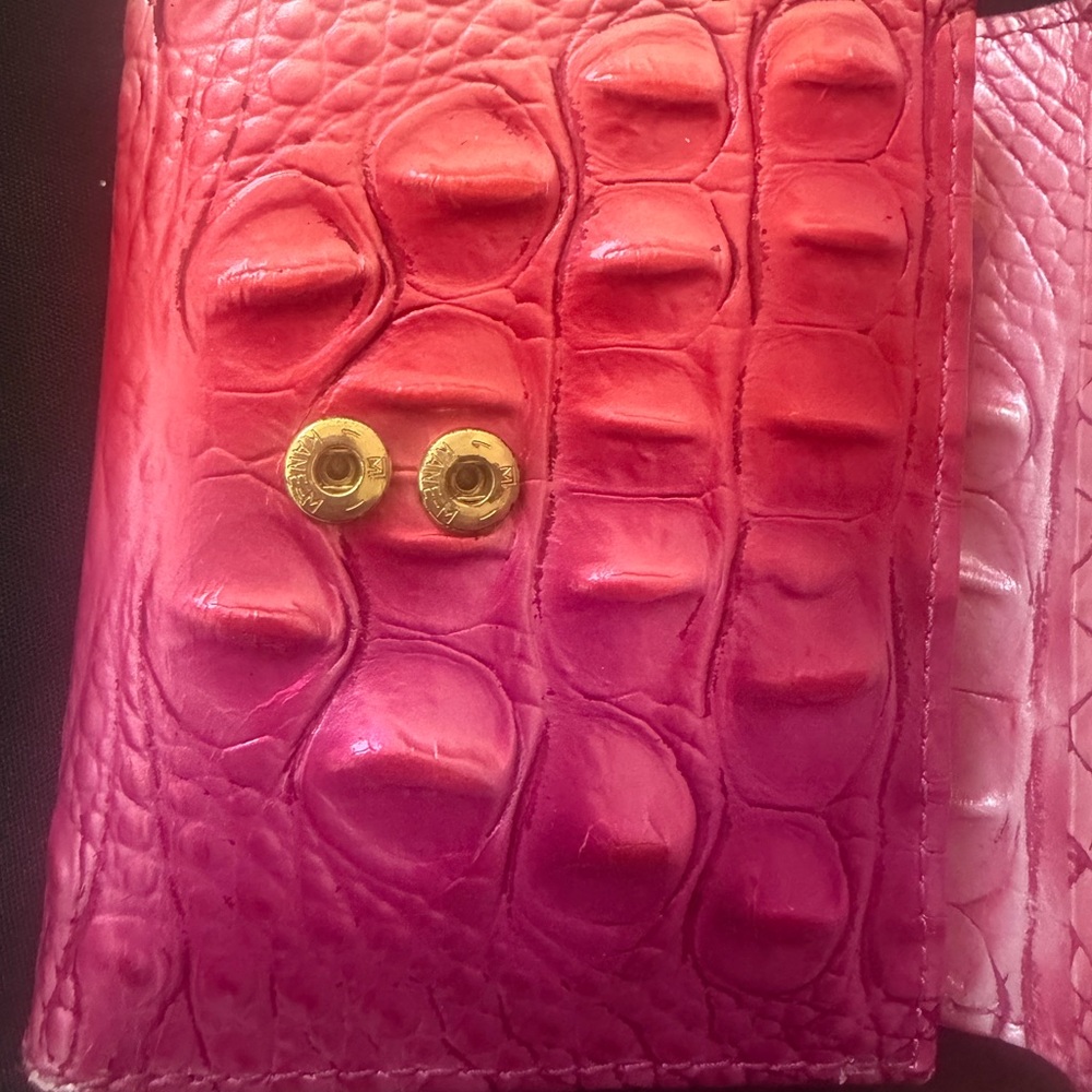 Brahmin Cupid Ombré Melbourne - Picture 3 of 16
